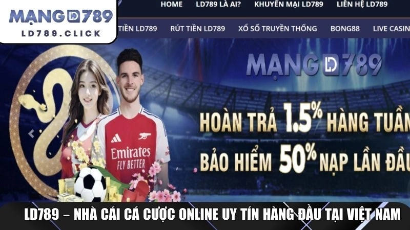 LD789 – Nhà cái cá cược online uy tín hàng đầu tại Việt Nam