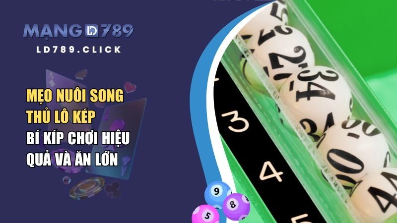 Mẹo Nuôi Song Thủ Lô Kép – Bí Kíp Chơi Hiệu Quả Và Ăn Lớn